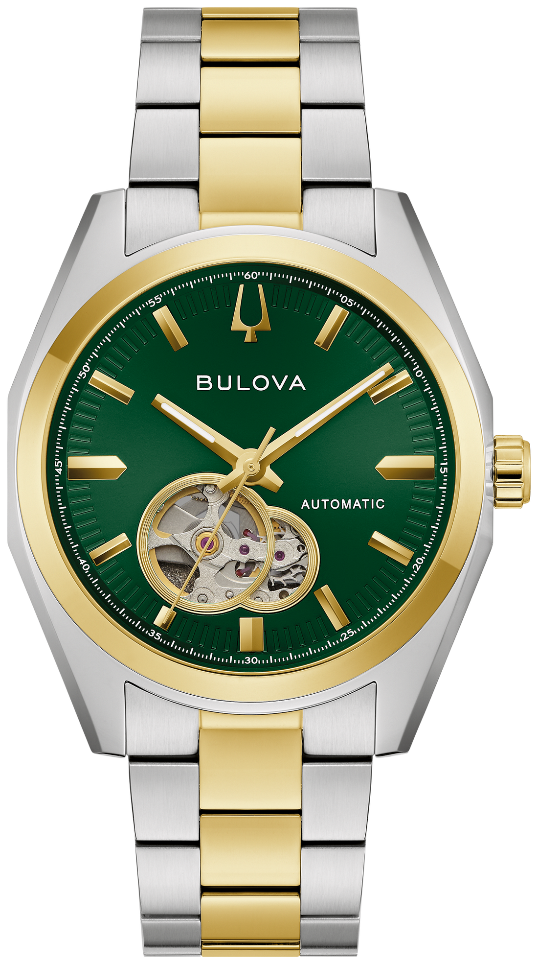 Surveyor Green, view 6
